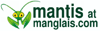 Mantis at manglais.com